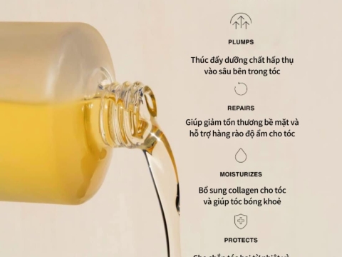 Mỹ Phẩm Hóa Chất